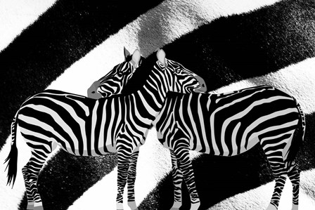 Zebra by Ata Alishahi art print