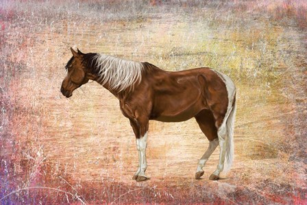 Horse Image by Ata Alishahi art print