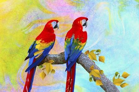 Parrots 87A by Ata Alishahi art print