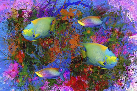 Fish Art 3 by Ata Alishahi art print