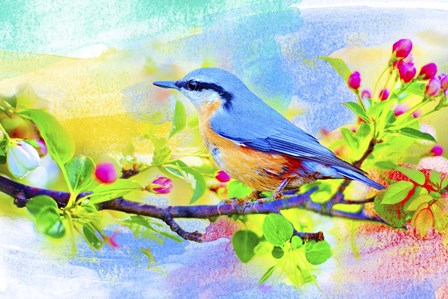 Spring Flowers And Bird 6 by Ata Alishahi art print