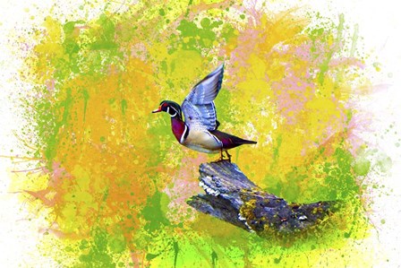 Bird Collection 3 by Ata Alishahi art print