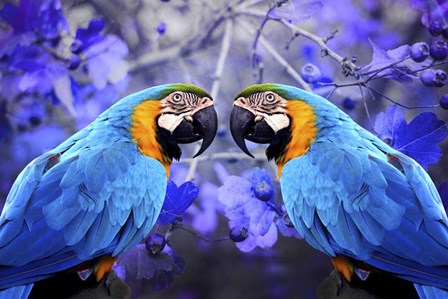 Bird Collection 32 by Ata Alishahi art print