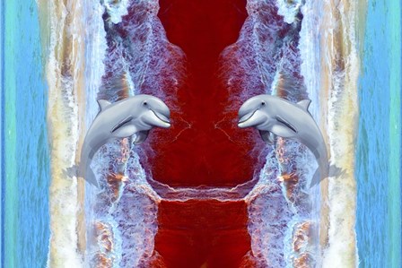 Twin Dolphin by Ata Alishahi art print