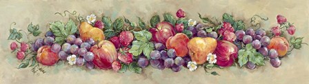 Fruit Panel by Barbara Mock art print