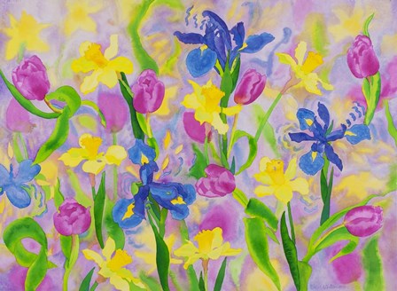 Dream Shadows by Carissa Luminess art print