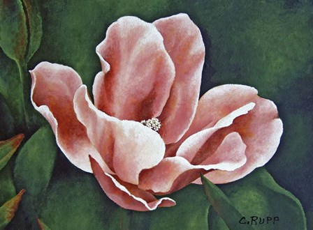 A One Day Show by Carol J Rupp art print