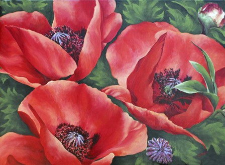 Bright Red Trio by Carol J Rupp art print