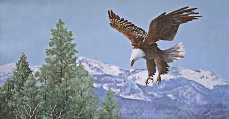 Soaring over Snowy Peaks by Carol J Rupp art print
