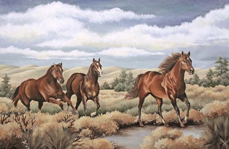 Spirit of the Southwest by Carol J Rupp art print