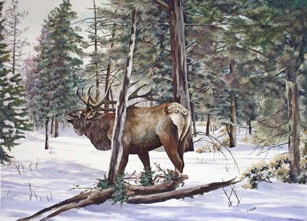 In The Shadows by Carol J Rupp art print