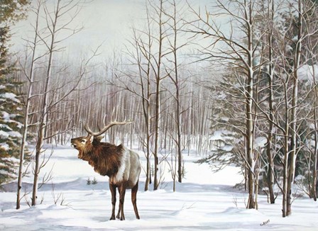 Valley Of The Utes by Carol J Rupp art print