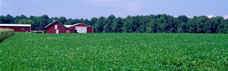 Green Field with Barn, Maryland by Panoramic Images art print