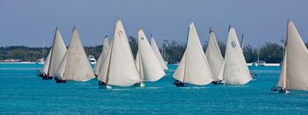 Annual National Family Island Regatta, Georgetown, Bahamas by Panoramic Images art print