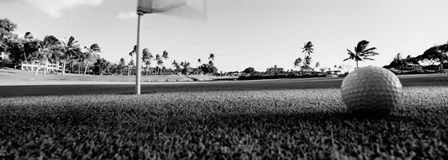 Close Up Golf Ball And Hole, Hawaii by Panoramic Images art print
