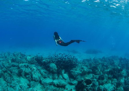 View of Mermaid Swimming Undersea, Hawaii by Panoramic Images art print