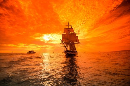 Sailboat and Tall Ship the Pacific Ocean, Dana Point Harbor, California by Panoramic Images art print