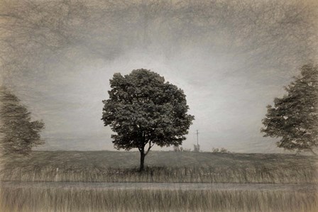 Tree with Rape Field in Springtime by Panoramic Images art print