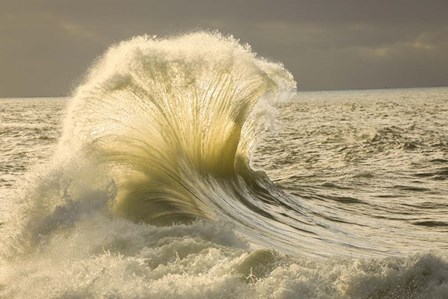 Waves in the Pacific Ocean, San Pedro, Los Angeles, California by Panoramic Images art print