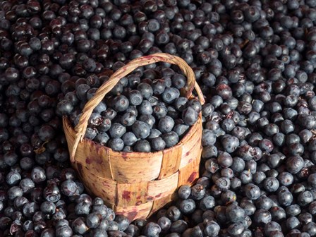 Blueberries at Market, Helsinki, Finland by Panoramic Images art print
