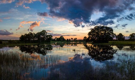 Small Pond at Sunset, Venice, Florida by Panoramic Images art print