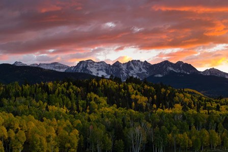 Trees with Mountain Range at dusk, Aspen, Colorado by Panoramic Images art print