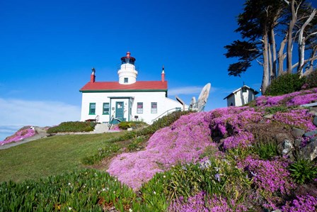 Battery Point Lighthouse, Crescent City, California by Panoramic Images art print