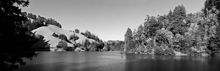 Lake Lagunitas, California (BW) by Panoramic Images art print