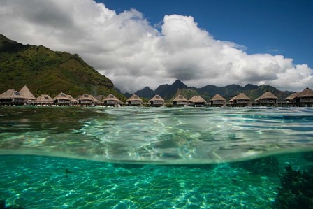Bungalows on the Beach, Moorea, Tahiti, French Polynesia by Panoramic Images art print