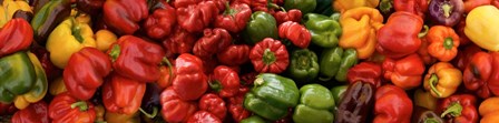 Close-up of Assorted Peppers by Panoramic Images art print