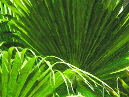 Painted Ferns II by Graffitee Studios art print