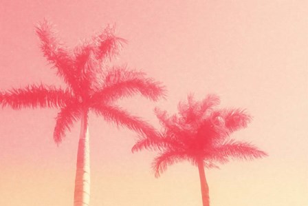 Palm Trees in Pink by Graffitee Studios art print