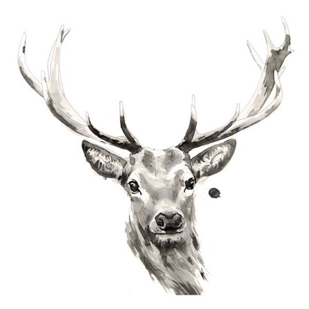 Elk by Philippe Debongnie art print
