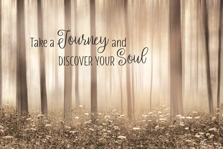 Take a Journey and Discover Your Soul by Lori Deiter art print