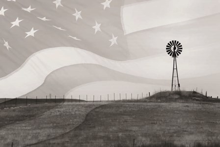 Patriotic Windmill by Lori Deiter art print