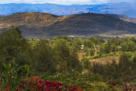 Red flowers and Farmland in the Mountain, Konso, Ethiopia by Keren Su / Danita Delimont art print