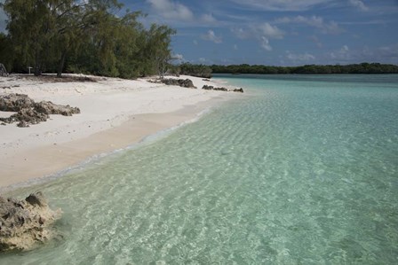 Picard Island White Sand Beach, Seychelles by Cindy Miller Hopkins / Danita Delimont art print