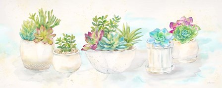 Sweet Succulents Panel by Cynthia Coulter art print