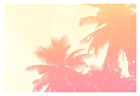 Coconut Palm Trees by Summer Photography art print