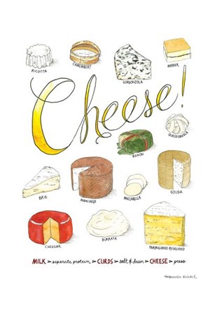 Cheese by Marcella Kriebel art print
