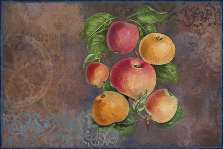 Apples - Fruit Series by Cora Niele art print