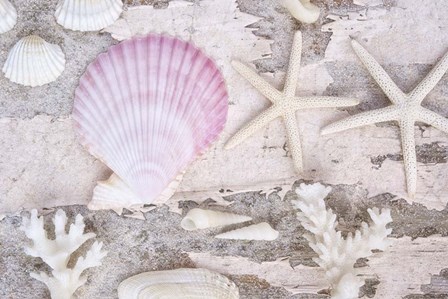 Beach Treasures IV by Cora Niele art print