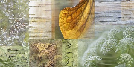 White Woodland Collage by Cora Niele art print