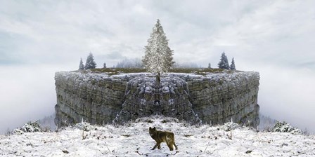 Lone Wolf by Ata Alishahi art print