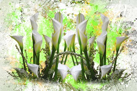 White Splendor by Ata Alishahi art print