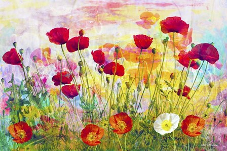 Poppies by Ata Alishahi art print