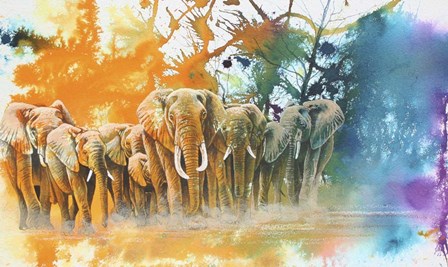 Elephant Tribe by Graeme Stevenson art print