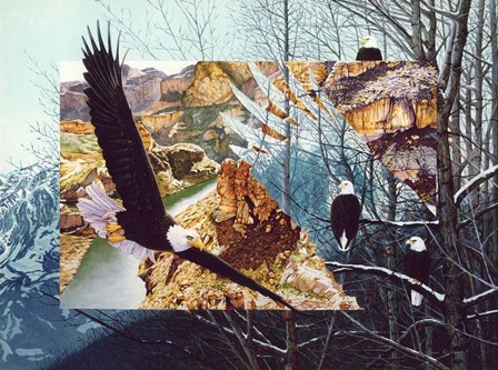 No Bounds No Barriers by Graeme Stevenson art print