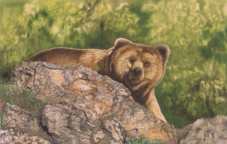 Surprised by Graeme Stevenson art print