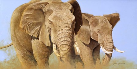 The Court Ship by Graeme Stevenson art print